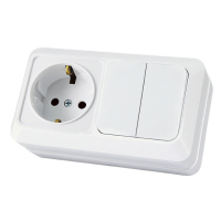 Вуокса блок (горизонт.) (роз. + 2 кл. выкл.) ОУ бел. (земля, крышка, IP54) TDM