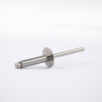 Заклепка 4,8х21 Нерж/Нерж шир. борт 14мм